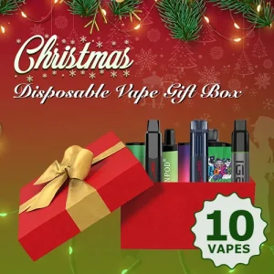 disposable vape christmas gift box 10 copy.webp