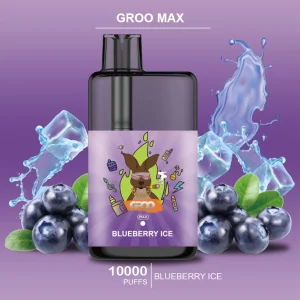 groo max blueberry ice.webp