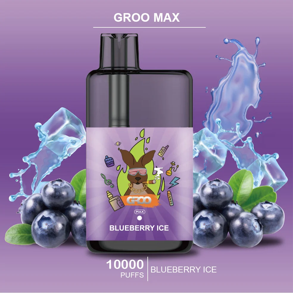 groo max blueberry ice.webp