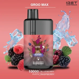 groo max blueberry raspberry.webp