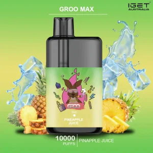 groo max pinapple juice.webp