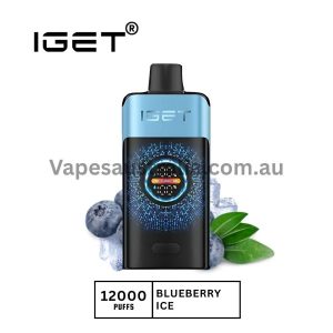 iget one 12000 puffs blueberry ice 600x600 1.jpg