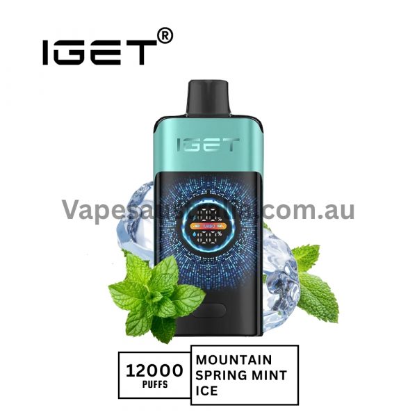 iget one 12000 puffs mountainspring mint ice 600x600 1.jpg