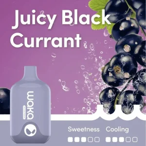 waka smash juicy black currant 6000.webp