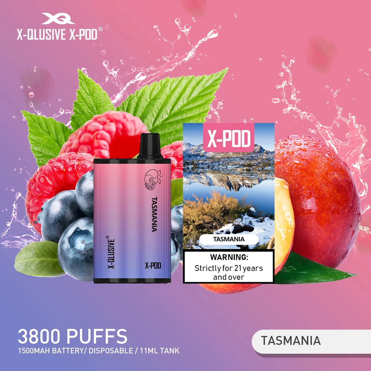 x pod tasmania.webp